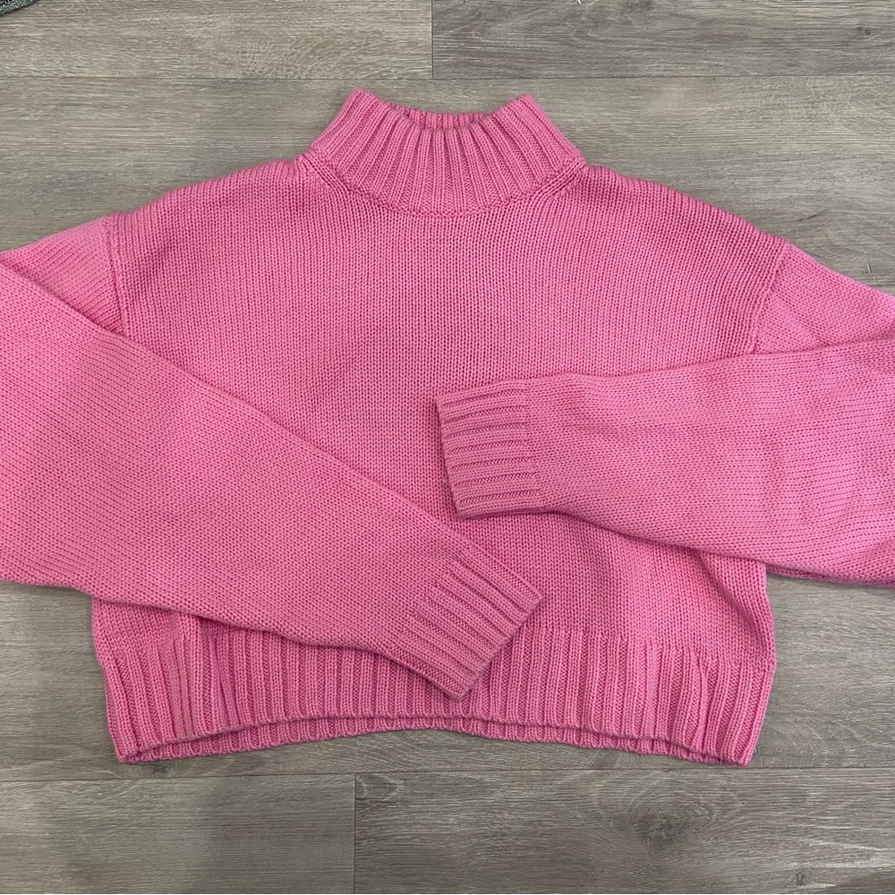 Aritzia Sweater